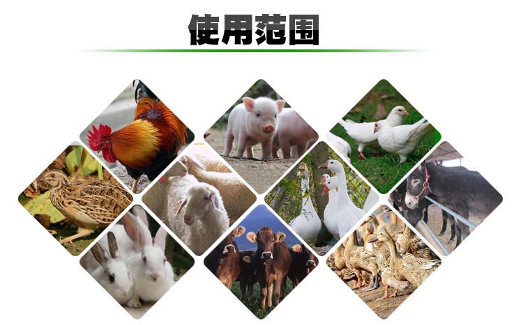 5-2103030RZOG 烘干后啤酒糟物料的用处